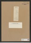 Diatomeae indet. Zeichnungen Sammlung Grunow Nr. 6720 (NHMW-BOT-W0375539)